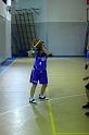 Basket 252030